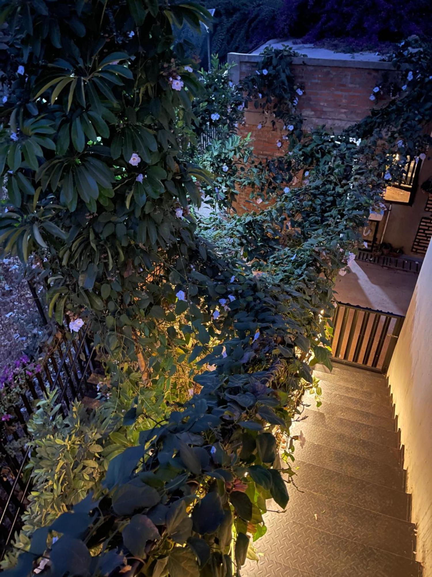 Eagle View Lodge - Kigali Dış mekan fotoğraf